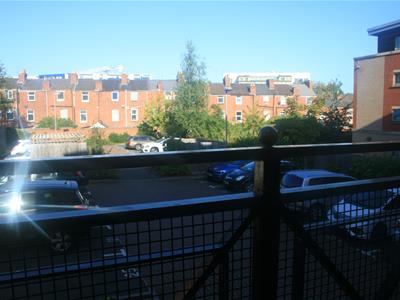 Picture 7